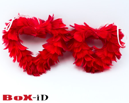 Valentine hearts set rood (2st)