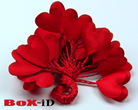 Satin hearts on wire (2) rood 25mm (24stx2)
