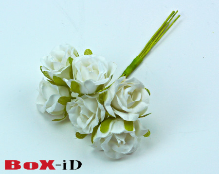 Roses  : white (60pcs)