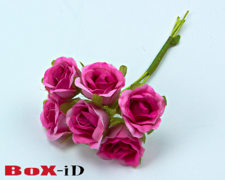 Roses  : Fuchsia (60pcs)