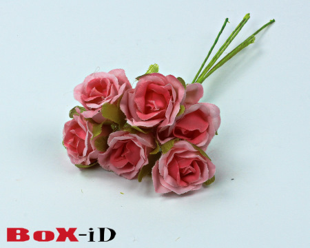 Roses  :  Rose (60ex)