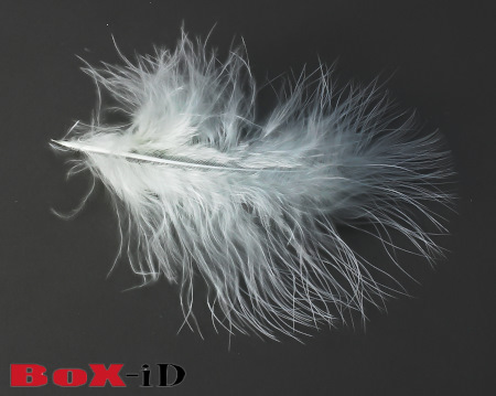 Plumes Marabou +/- 14 cm couleur 0131 perle