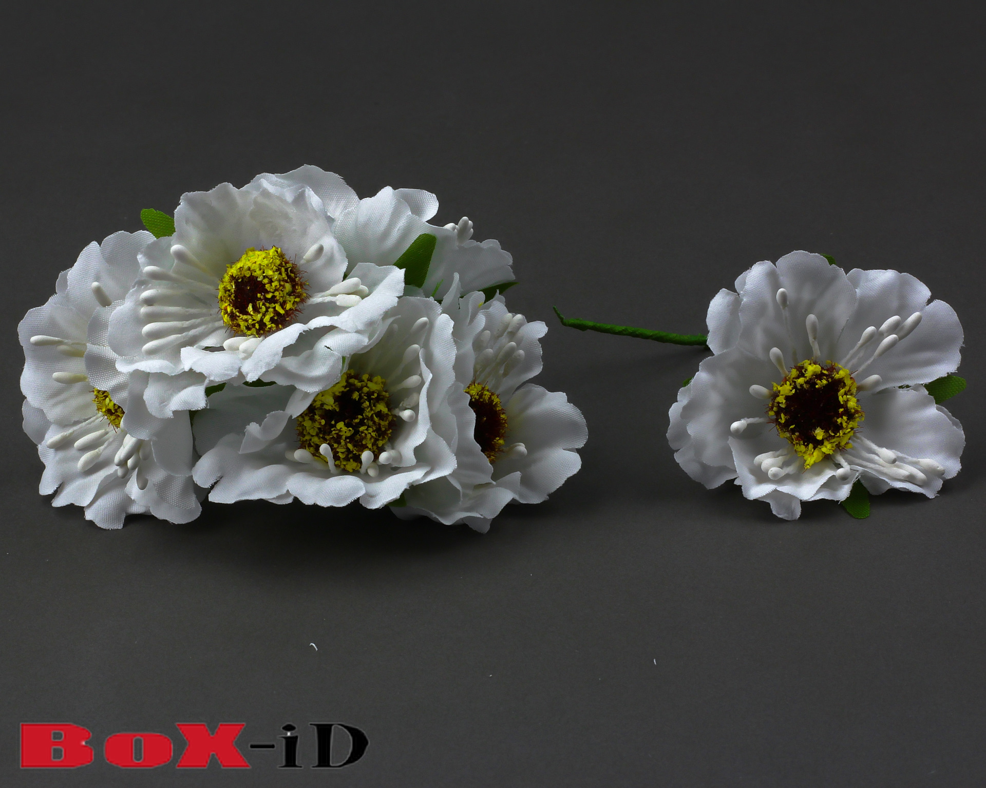 Flowers :  Weiss  (60St)