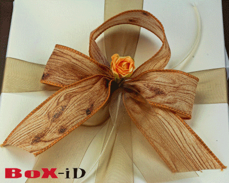 Bows ; models rose